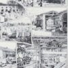 11-scaled-1 Marbres du monde, 18 variétés, planche géologique 1930