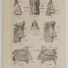 Nez et os, planche anatomique 1924
