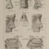 Nez et os, planche anatomique 1924
