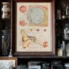 118A5935-medical-anatomie-oeil-oreille-05 Œil et oreille, planche anatomique 1924