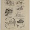 118A5938-medical-anatomie-oreille-nerf Oreille, planche anatomique 1924