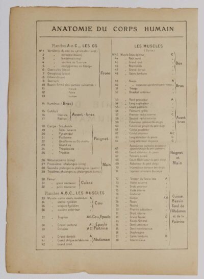 Anatomie du corps humain, planche anatomique interactive 1924