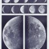Lune et phases lunaires, planche astronomique 1930