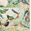 Oiseaux du monde, planche d’Adolphe Millot 1932