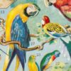 Oiseaux du monde, planche d’Adolphe Millot 1932