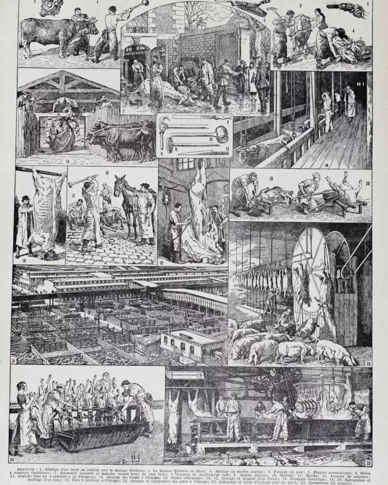 Planche ancienne abattoir, gravure originale années 1930 – planche ancienne entière