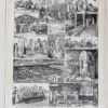 Planche ancienne abattoir, gravure originale années 1930