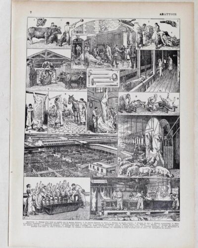 Planche ancienne abattoir, gravure originale années 1930