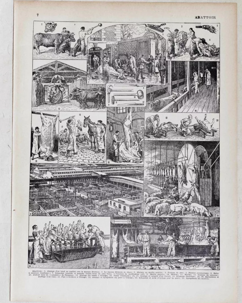 Planche ancienne abattoir, gravure originale années 1930