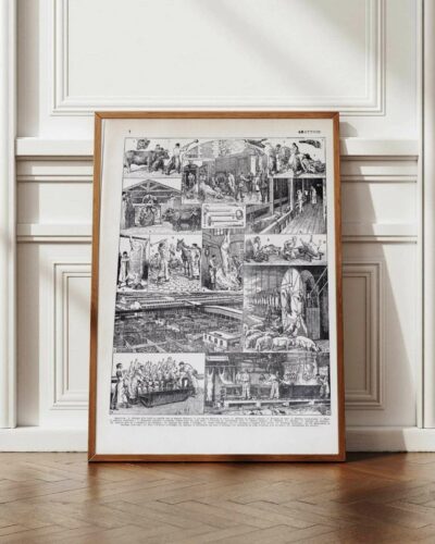 Planche ancienne abattoir, gravure originale années 1930