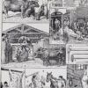 Planche ancienne abattoir, gravure originale années 1930