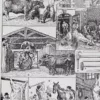 Planche ancienne abattoir, gravure originale années 1930 – détail de la planche ancienne