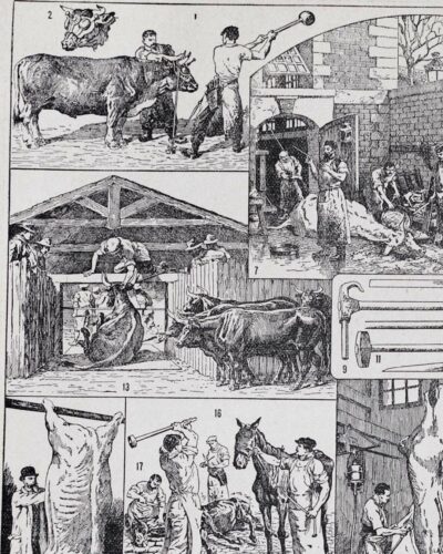 Planche ancienne abattoir, gravure originale années 1930