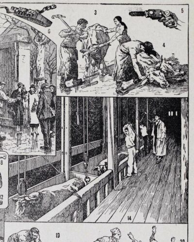 Planche ancienne abattoir, gravure originale années 1930