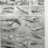 Aéronautique, aviation et ballons, planche originale 1948