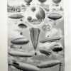 Aéronautique, aviation et ballons, planche originale 1948