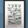 Aéronautique, aviation et ballons, planche originale 1948