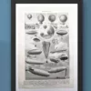 aeronautique-b21.jpg Aéronautique, aviation et ballons, planche originale 1948 – verso du document ancien