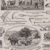 Agriculture et machines agricoles, planche originale 1930