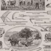 Agriculture et machines agricoles, planche originale 1930