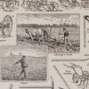 Agriculture et machines agricoles, planche originale 1930