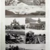 agriculture-a11.jpg Afrique occidentale française, carte ancienne 1948 – planche ancienne entière