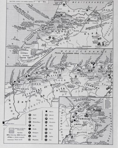Carte ancienne Algérie, planche originale années 1930