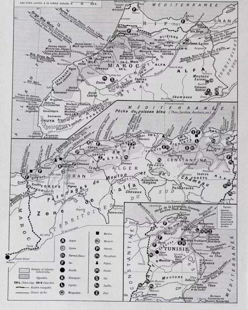 Carte ancienne Algérie, planche originale années 1930 – verso du document ancien