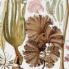 algue-mer-b14.jpg Planche botanique algues, illustration originale années 1930
