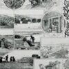 algue-mer-b22.jpg Planche botanique algues, illustration originale années 1930