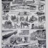 Ambulances et secours militaires, planche ancienne années 1930