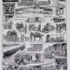 ambulances-a10.jpg Ambulances et secours militaires, planche ancienne années 1930 – planche ancienne entière