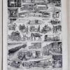 Ambulances et secours militaires, planche ancienne années 1930