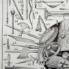 Armes, planche historique originale vers 1950