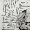 armes-a13.jpg Armes, planche historique originale vers 1950 – détail de la planche ancienne