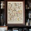 Champignons I, planche botanique originale 1929