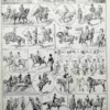 equitation-cheval-a10.jpg Équitation et chevaux, planche sportive ancienne 1930 – planche ancienne entière