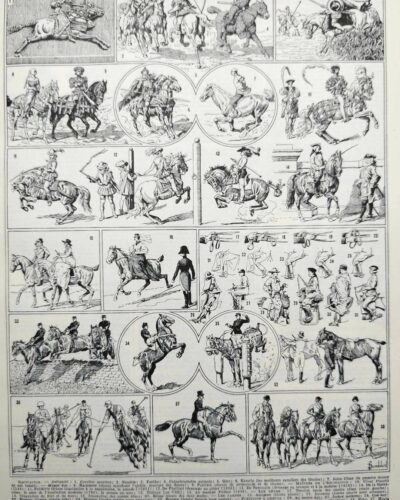 Équitation et chevaux, planche sportive ancienne 1930