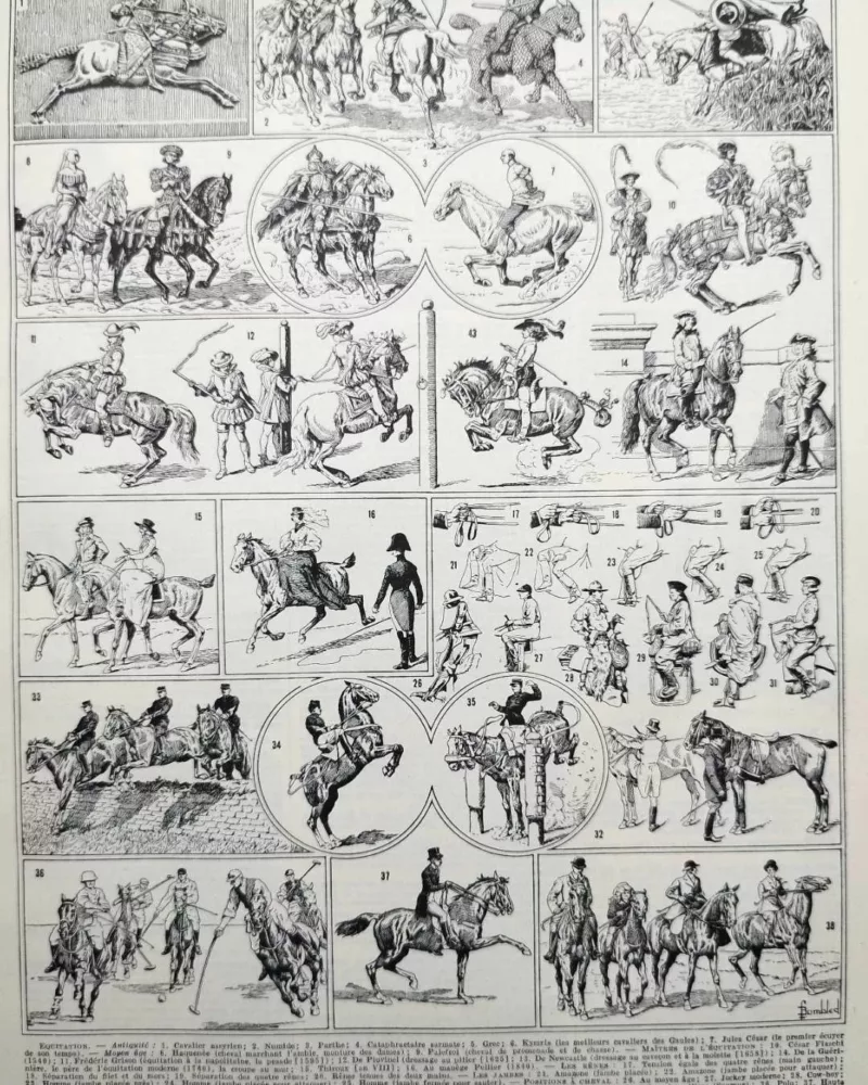 equitation-cheval-a10.jpg Équitation et chevaux, planche sportive ancienne 1930 – planche ancienne entière