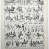 Équitation et chevaux, planche sportive ancienne 1930