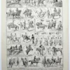 equitation-cheval-a11.jpg Équitation et chevaux, planche sportive ancienne 1930