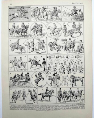Équitation et chevaux, planche sportive ancienne 1930