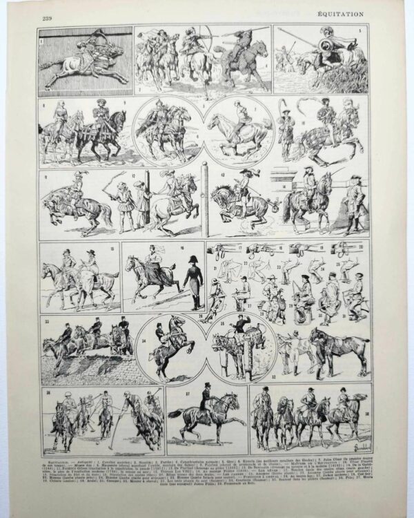 Équitation et chevaux, planche sportive ancienne 1930
