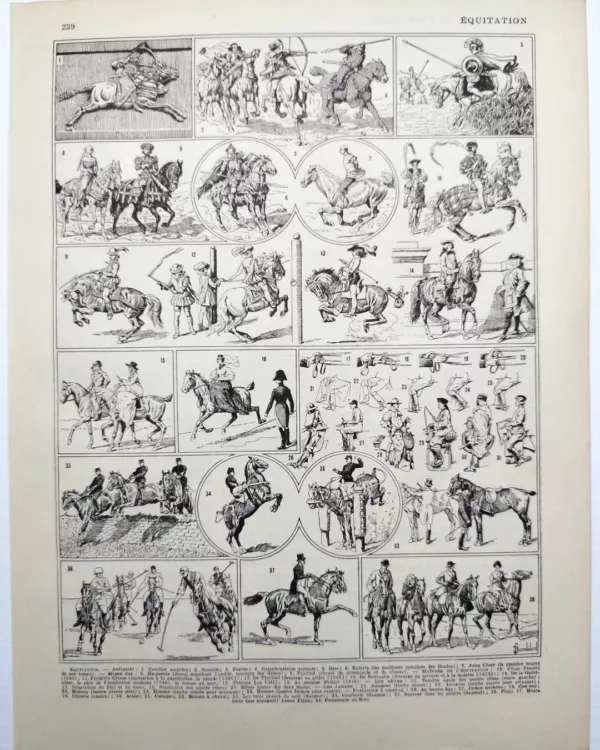 equitation-cheval-a11.jpg Équitation et chevaux, planche sportive ancienne 1930