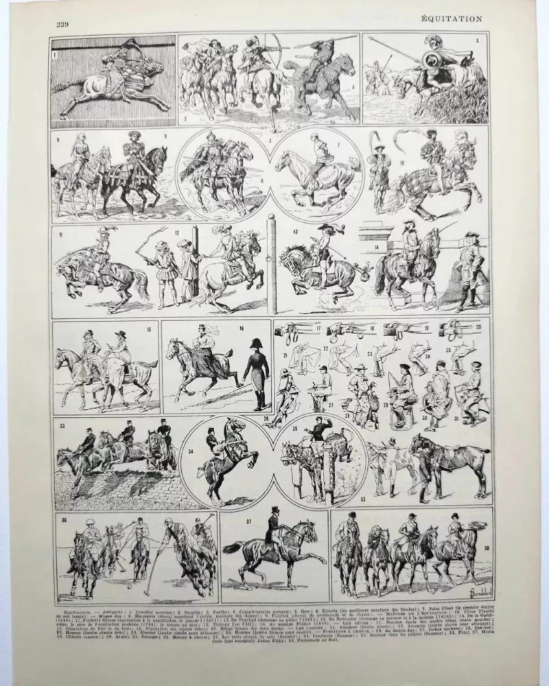 equitation-cheval-a11.jpg Équitation et chevaux, planche sportive ancienne 1930