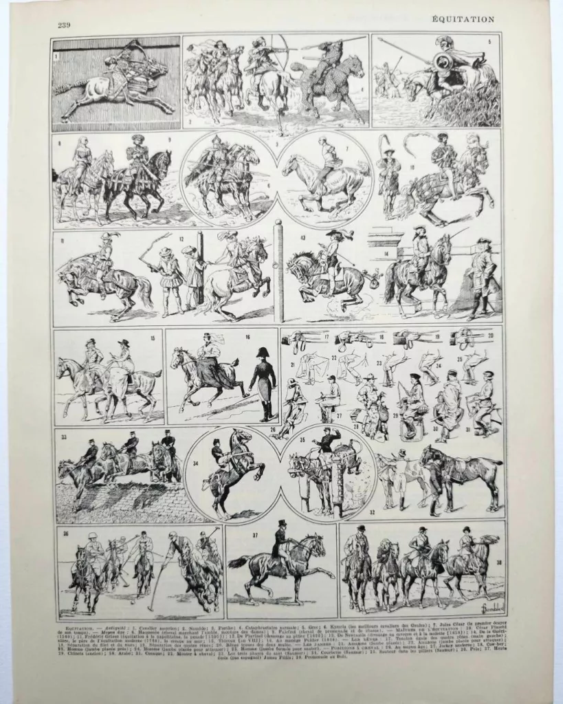 Équitation et chevaux, planche sportive ancienne 1930