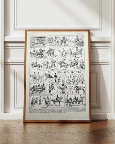 Équitation et chevaux, planche sportive ancienne 1930