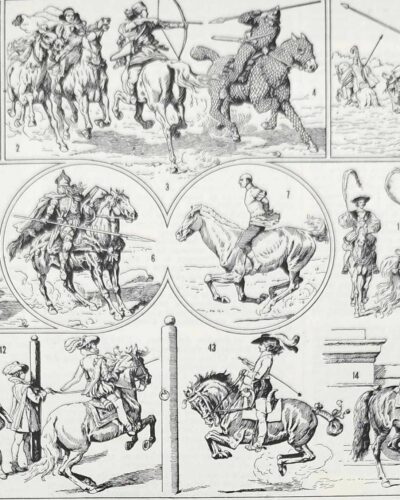 Équitation et chevaux, planche sportive ancienne 1930