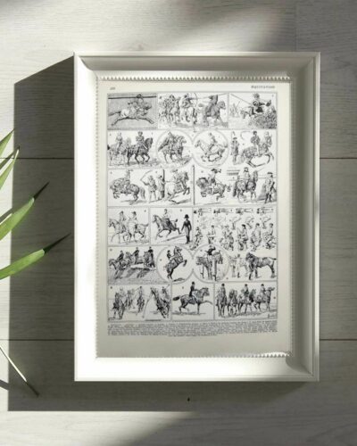 Équitation et chevaux, planche sportive ancienne 1930