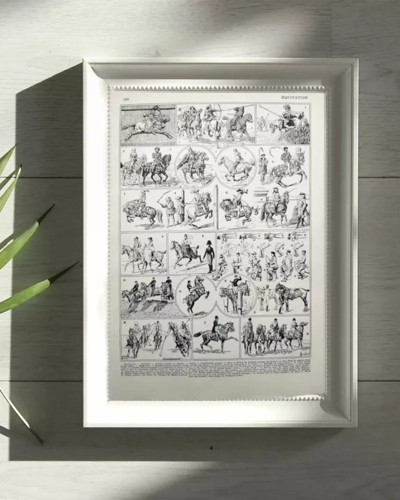 equitation-cheval-b12.jpg Équitation et chevaux, planche sportive ancienne 1930 – planche encadrée en décoration murale